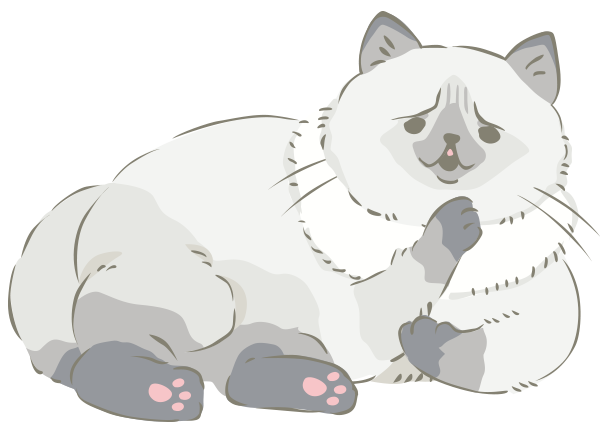 朝晩ひんやり、昼ぽかぽか。寒暖差にご注意を