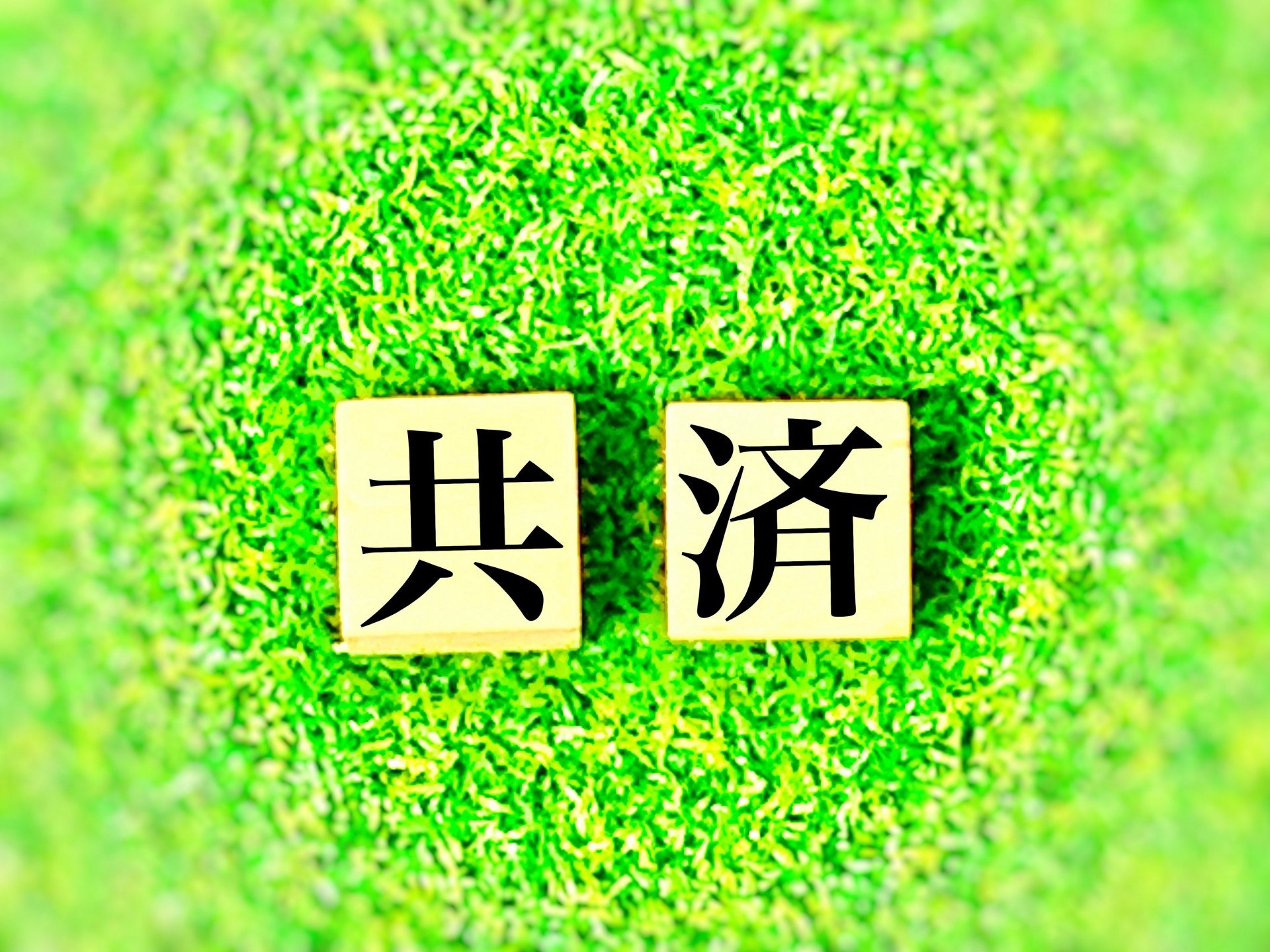 共済保険は賢く活用♪